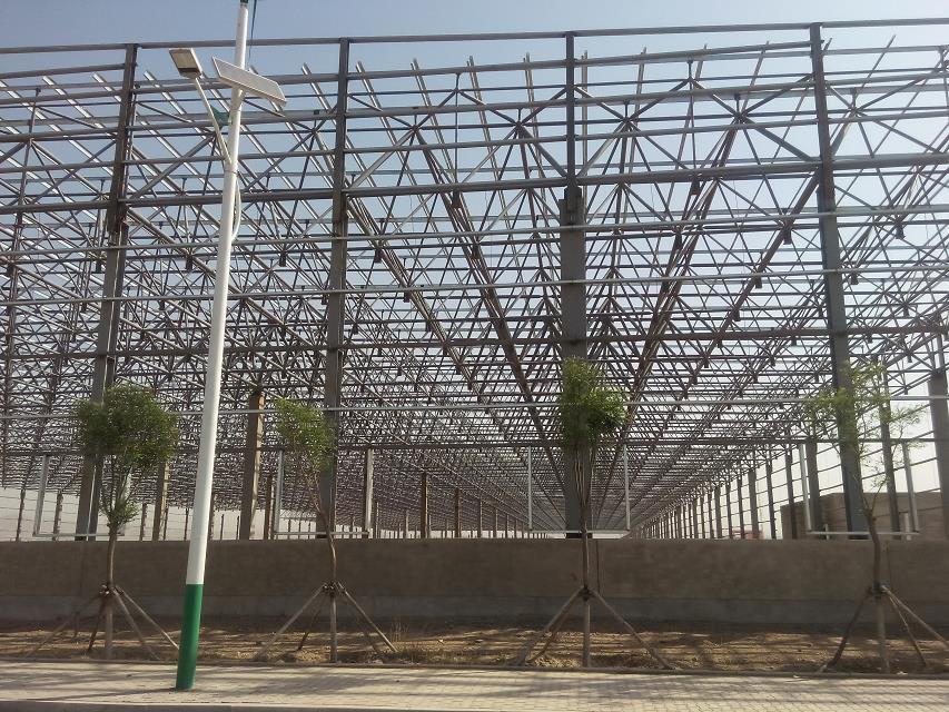 阿里汽车工业厂房网架
